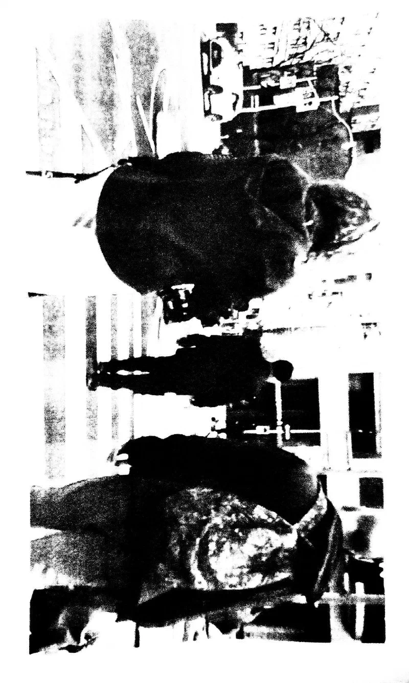 Archive photograph, Photography, 2026